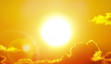 Why does Elon Musk want to block out the sun?