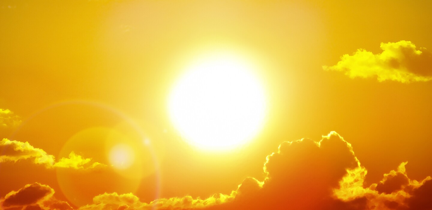 Why does Elon Musk want to block out the sun?