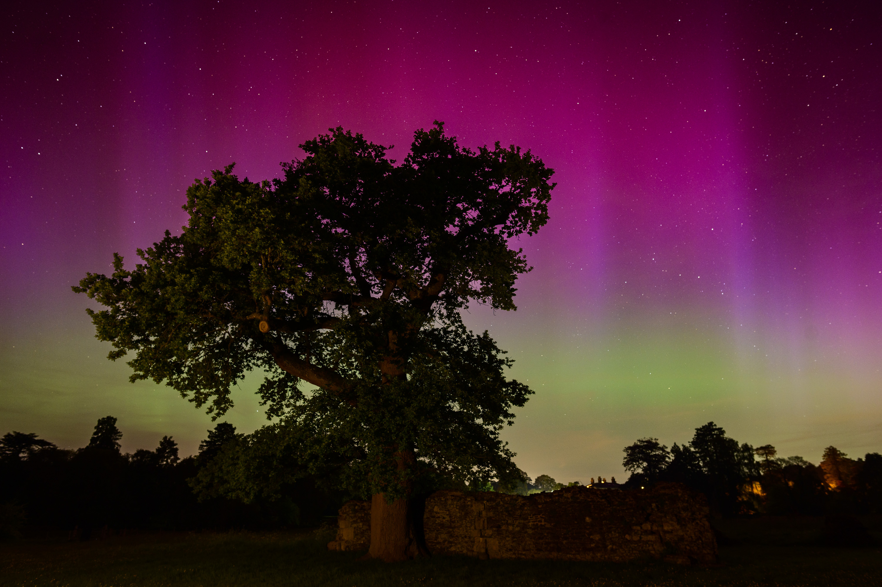Northern Lights taken with the Nikon Z6 II