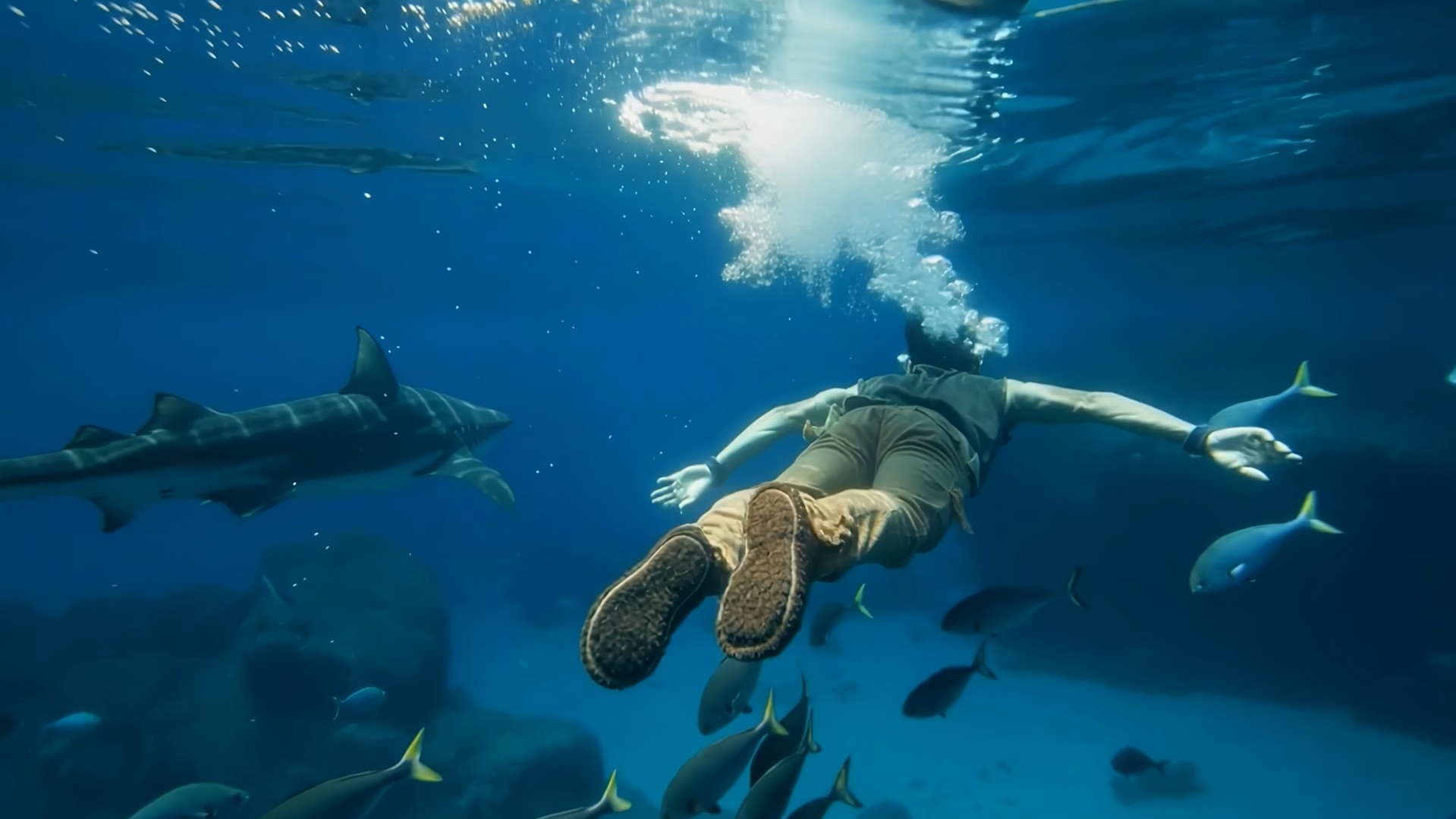 Illustration of a person sinking in blue water with a shark and other fish around them.