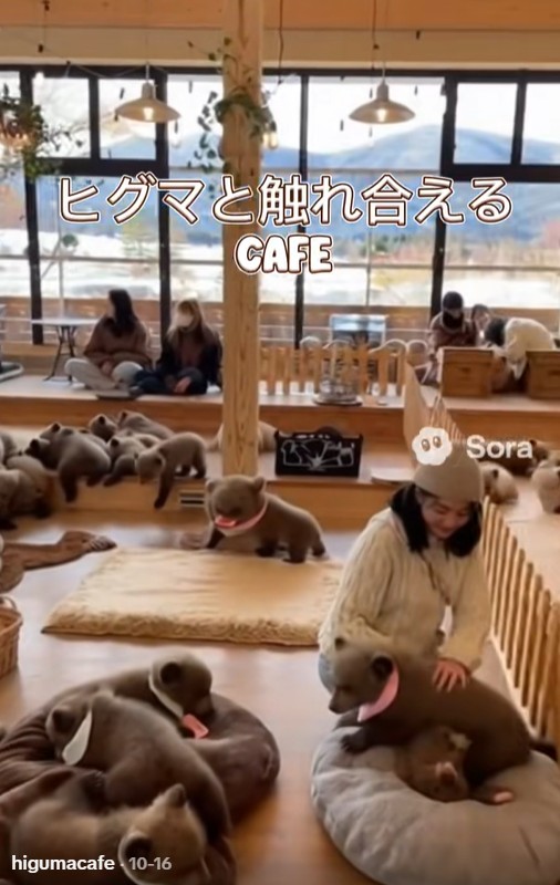 Still from TikTok video showing a woman interacting with AI-generated bear cubs in a cafe setting.