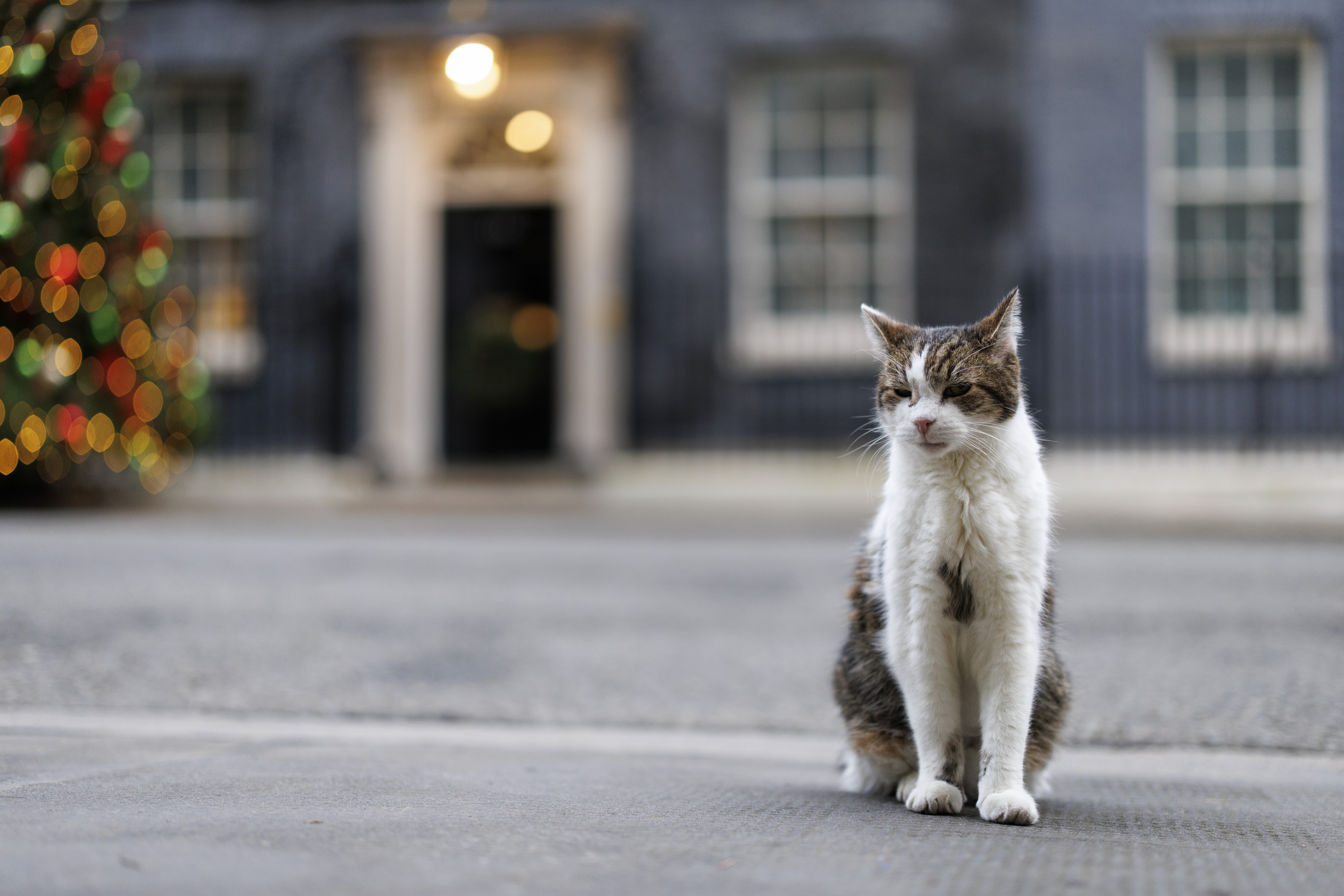 Cabinet meeting of the UK government at 10 Downing Street in London