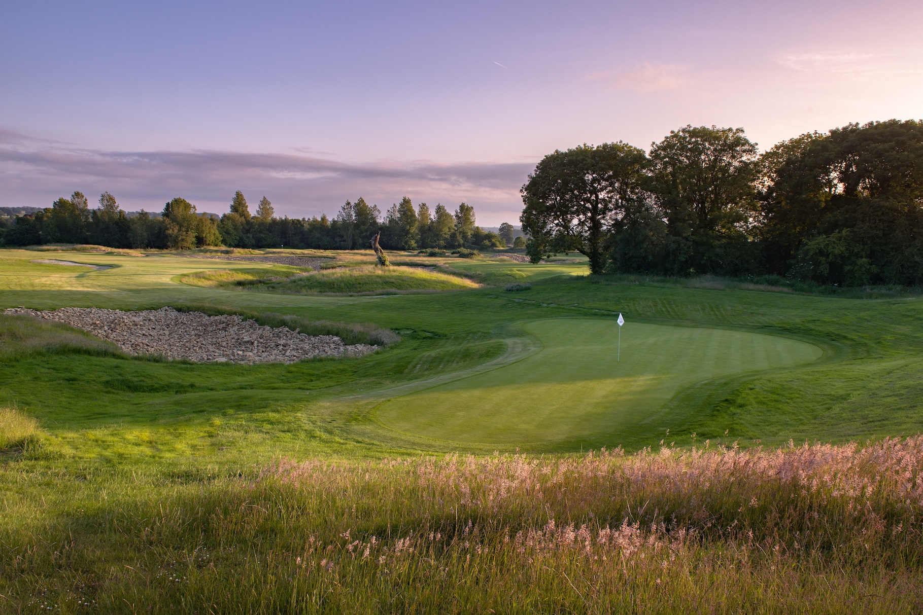 Mad Swans in The Mendips Golf Course.