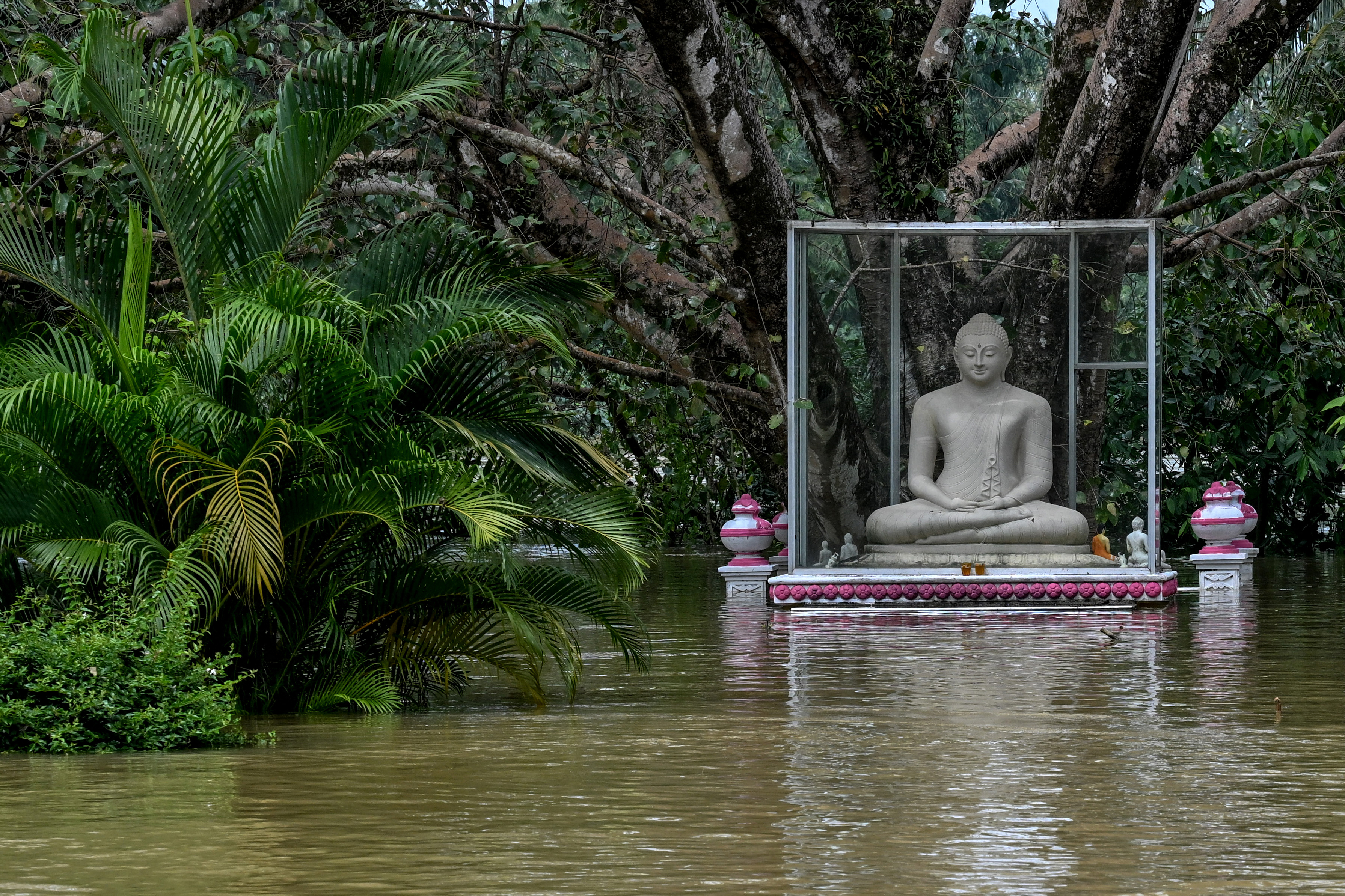 A Buddha statue in a glass enclosure is partially submerged in floodwaters at a temple.
