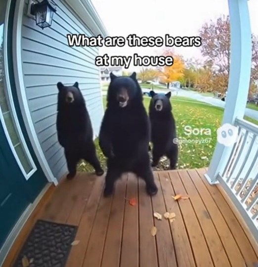 AI-generated image showing three black bears on a porch with the text "What are these bears at my house".