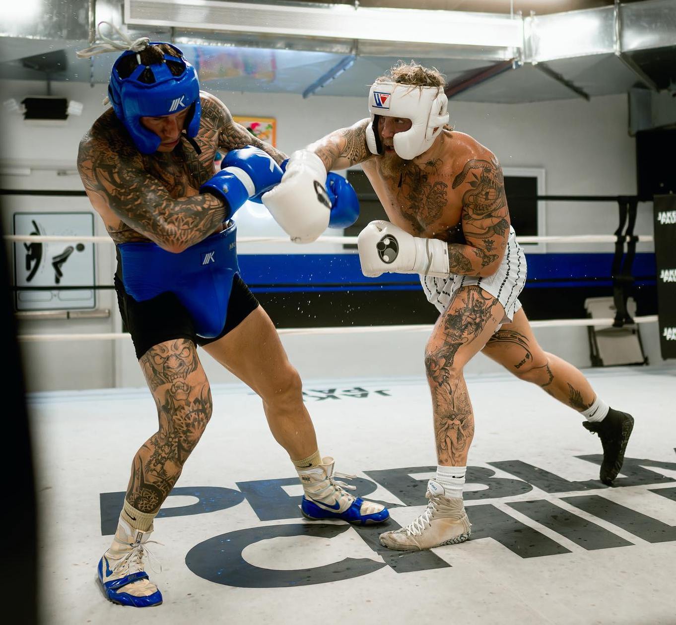 Jake Paul sparring in the ring.