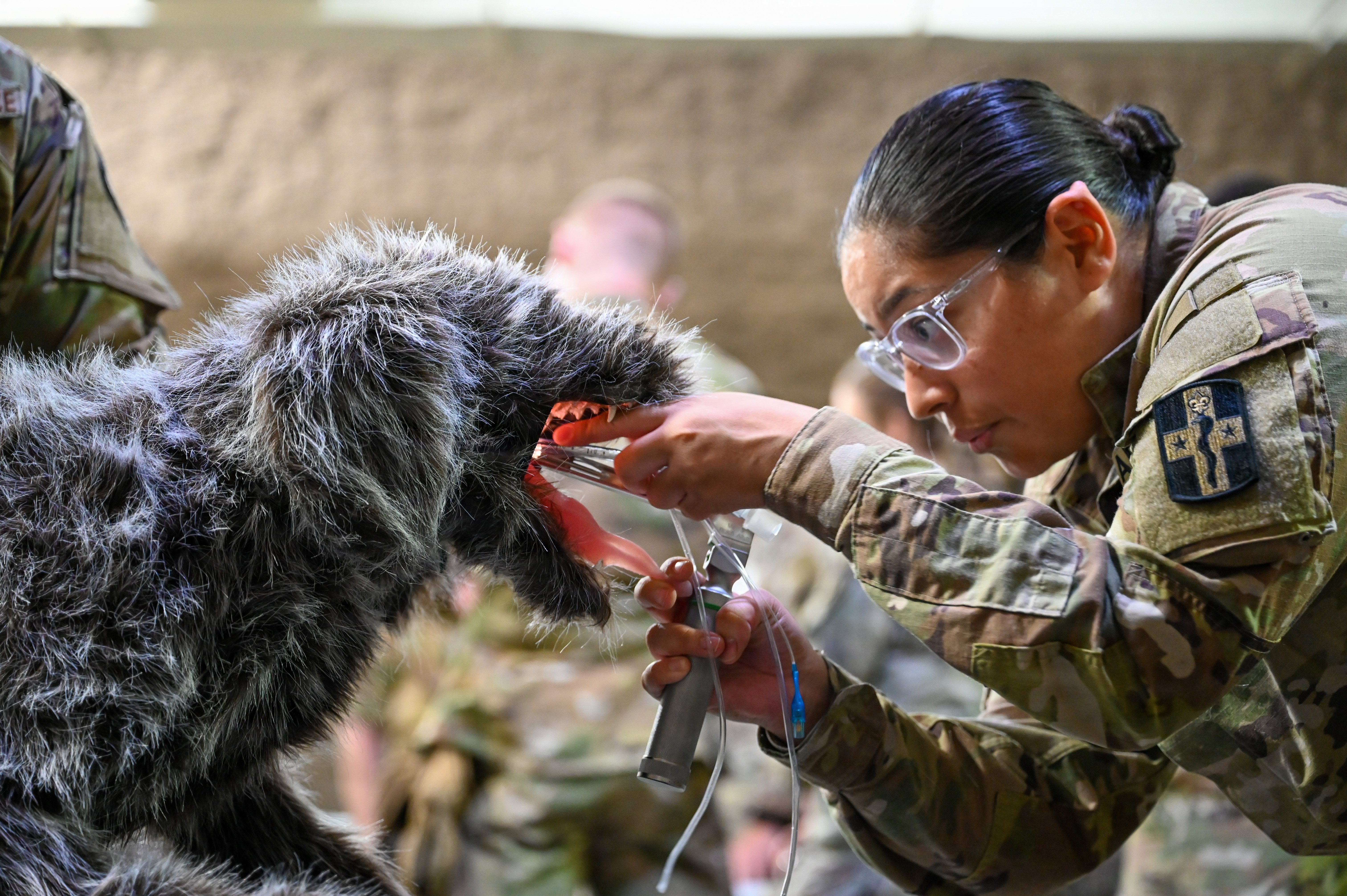 Airmen Train in K-9 TCCC Procedures