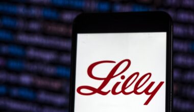 Economy gets fatter from making the world slimmer