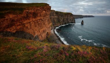 6% drop in visitors this year, tourism body estimates