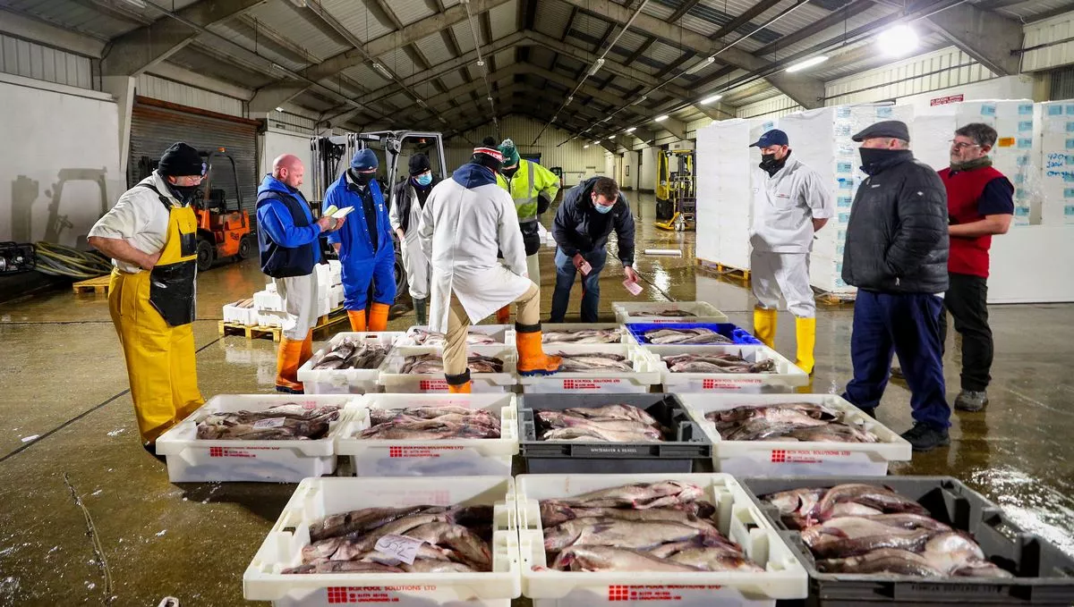 Market manager Alastair Ewen (second left) conducts an auction of fish brought in this morning at the docks in Fleetwood