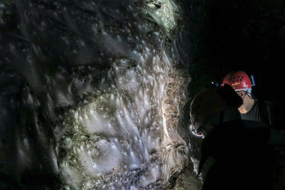 GREECE-ALBANIA-ENVIRONMENT-ANIMALS