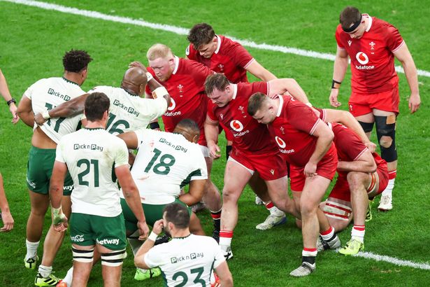 Wales struggled at scrum time against South Africa
