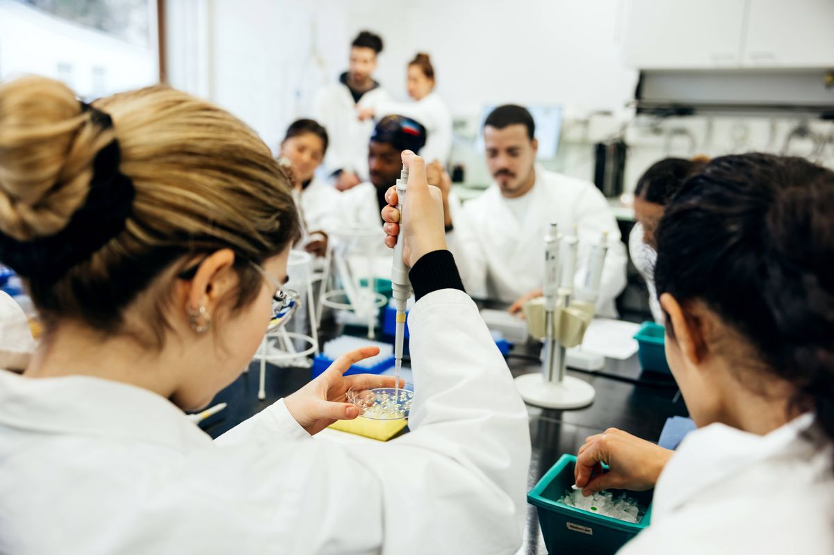 A laboratory student dispensing some liquid with a digital pipette during a medical experiment with her colleagues.