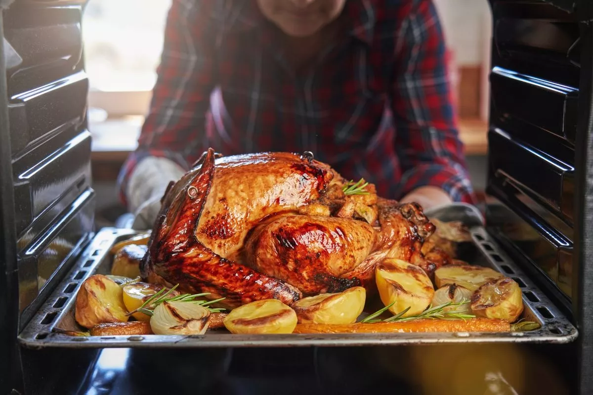 A roast turkey being pulled out of the oven