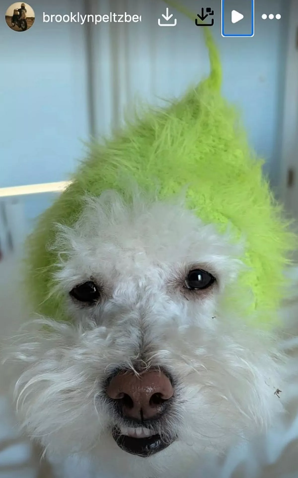 Brooklyn Beckham has been active on social media following his decision to skip out on Holly Ramsay's wedding 