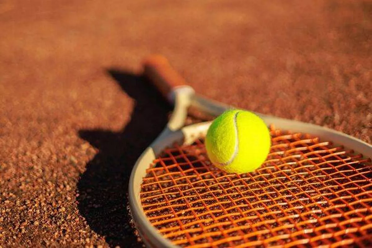 Yellow tennis ball lying on rocket at outdoor summer sunny court ground closeup