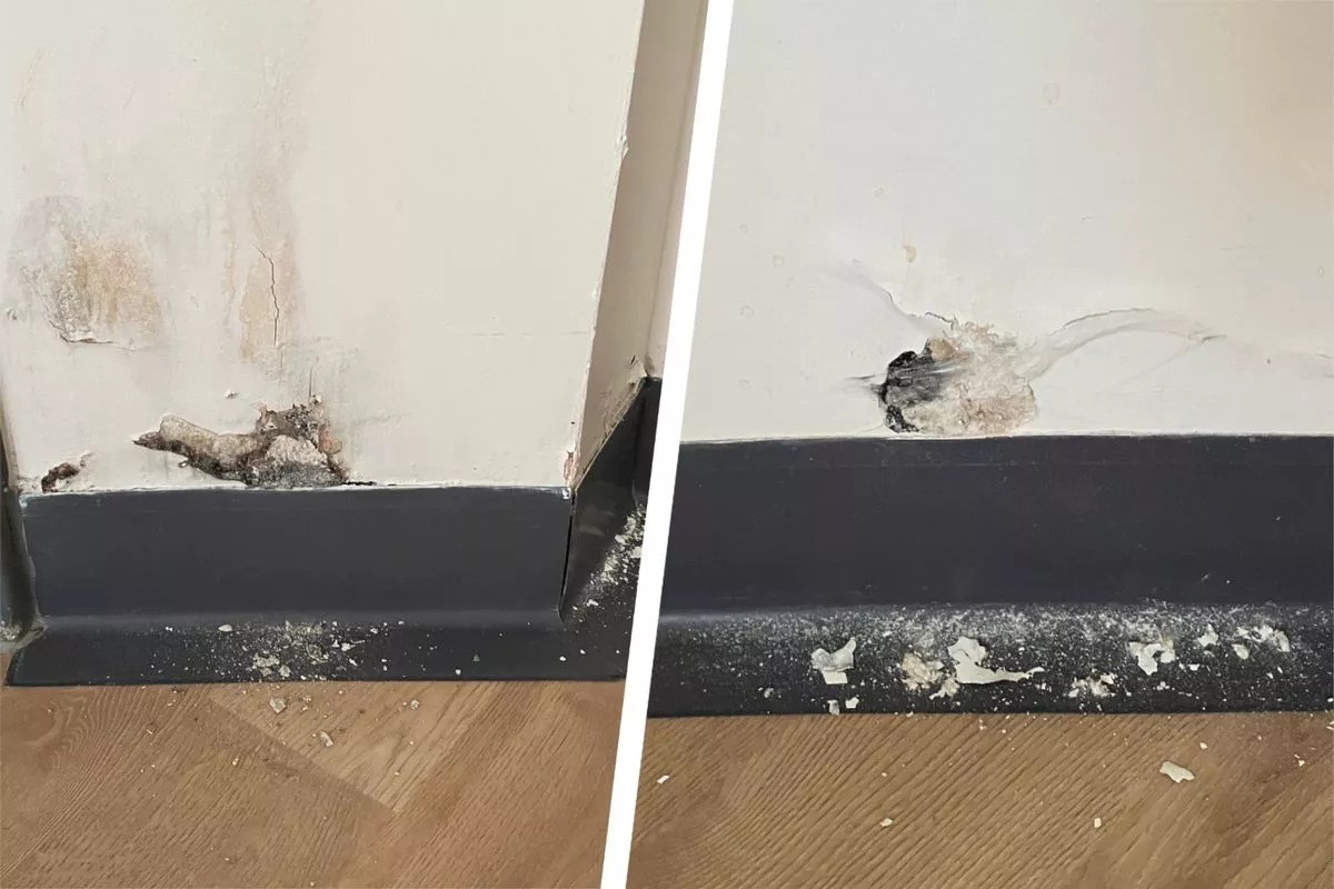 Holes in the wall and chunks of plaster in Dean Upson's room at Hafan y Coed