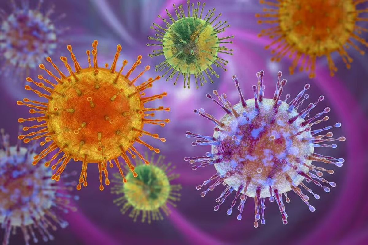 France has confirmed its first cases of MERS in more than a decade