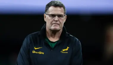 Rassie Erasmus expected to depart Springboks to take up a shock job