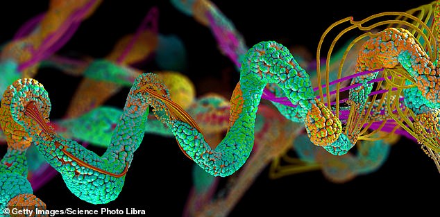 A found removing two amino acids (the building blocks of protein) – called arginine and proline – from the diet of mice with neuroblastoma made tumours less aggressive