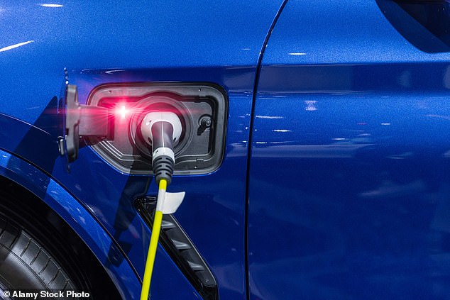 Since hybrids are outnumbered by almost 20 to 1 on Britain's roads by petrol models, that means hybrids are three times more likely to be involved in a fatal crash (file photo)