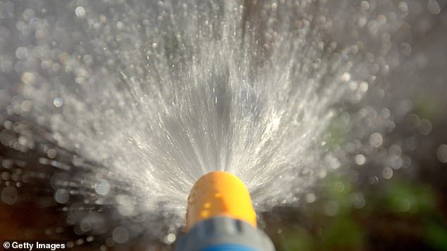 A high-pressure water jet treatment could help prostate cancer patients avoid one of the main complications of existing therapies: erectile dysfunction