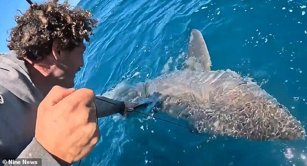 The epic catch was filmed off Barwon Heads on Victoria's Bellarine Peninsula