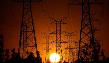 Price distortions in EU energy market must end, Portuguese minister tells Euronews