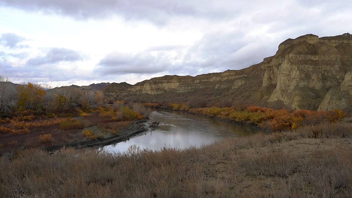 “Nature needs action, not just discussion,” says founder of IDEA international campaign