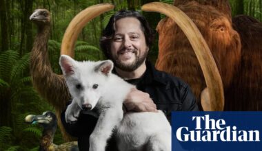 ‘They didn’t de-extinct anything’: can Colossal’s genetically engineered animals ever be the real thing? | Extinct wildlife
