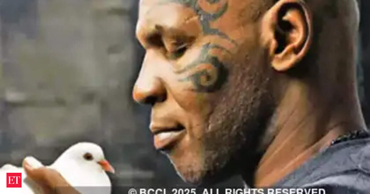 Quote of the day by Mike Tyson: “Everyone has a plan until they ….”