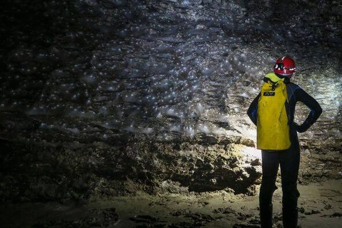 GREECE-ALBANIA-ENVIRONMENT-ANIMALS