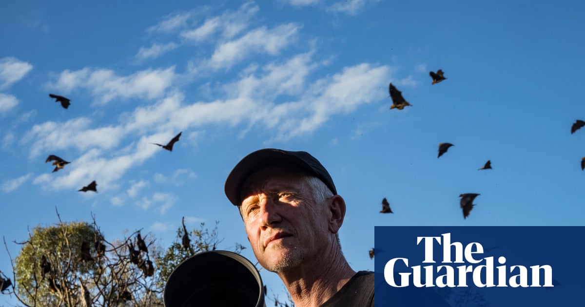 Four species, 160 days, 50,000 images: meet the photographer dedicated to showing the lovable side of flying foxes | Wildlife