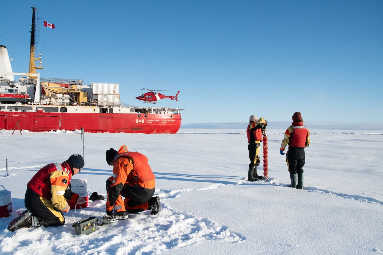 people digging and drilling holes in the sea ice, with red ship in the background