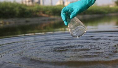 Studies warn Sirsa river is turning toxic: Pharmaceuticals, heavy metals from Baddi industrial hub flowing into Sutlej