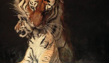 The astounding, show-stopping winners of Wildlife Artist of the Year 2025