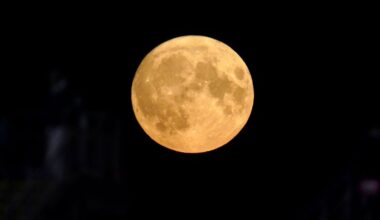 'Wolf Supermoon' will be visible above Britain in just DAYS as 2026 kicks off with a celestial bang