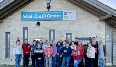 Dorset Wildlife Trust searching for volunteers to help