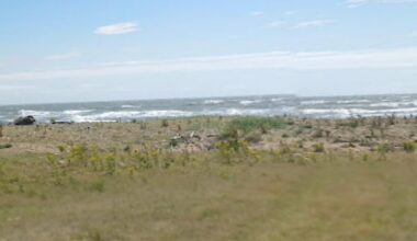 Furness Coastguard responds after dead porpoise found