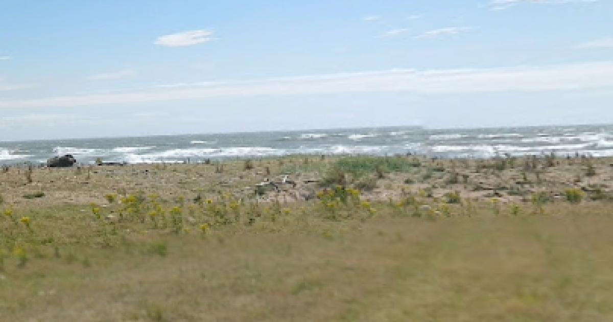 Furness Coastguard responds after dead porpoise found