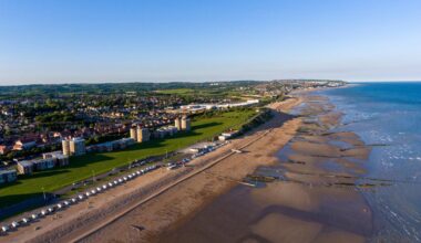 Beachcomber finds huge 'dolphin' skull near Bexhill