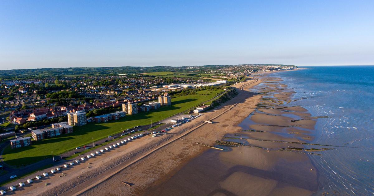Beachcomber finds huge 'dolphin' skull near Bexhill