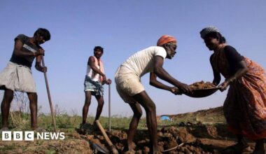 Three men and a woman pictured with their tools, working on a field.