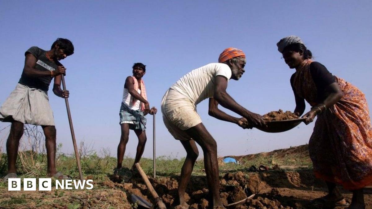Three men and a woman pictured with their tools, working on a field.