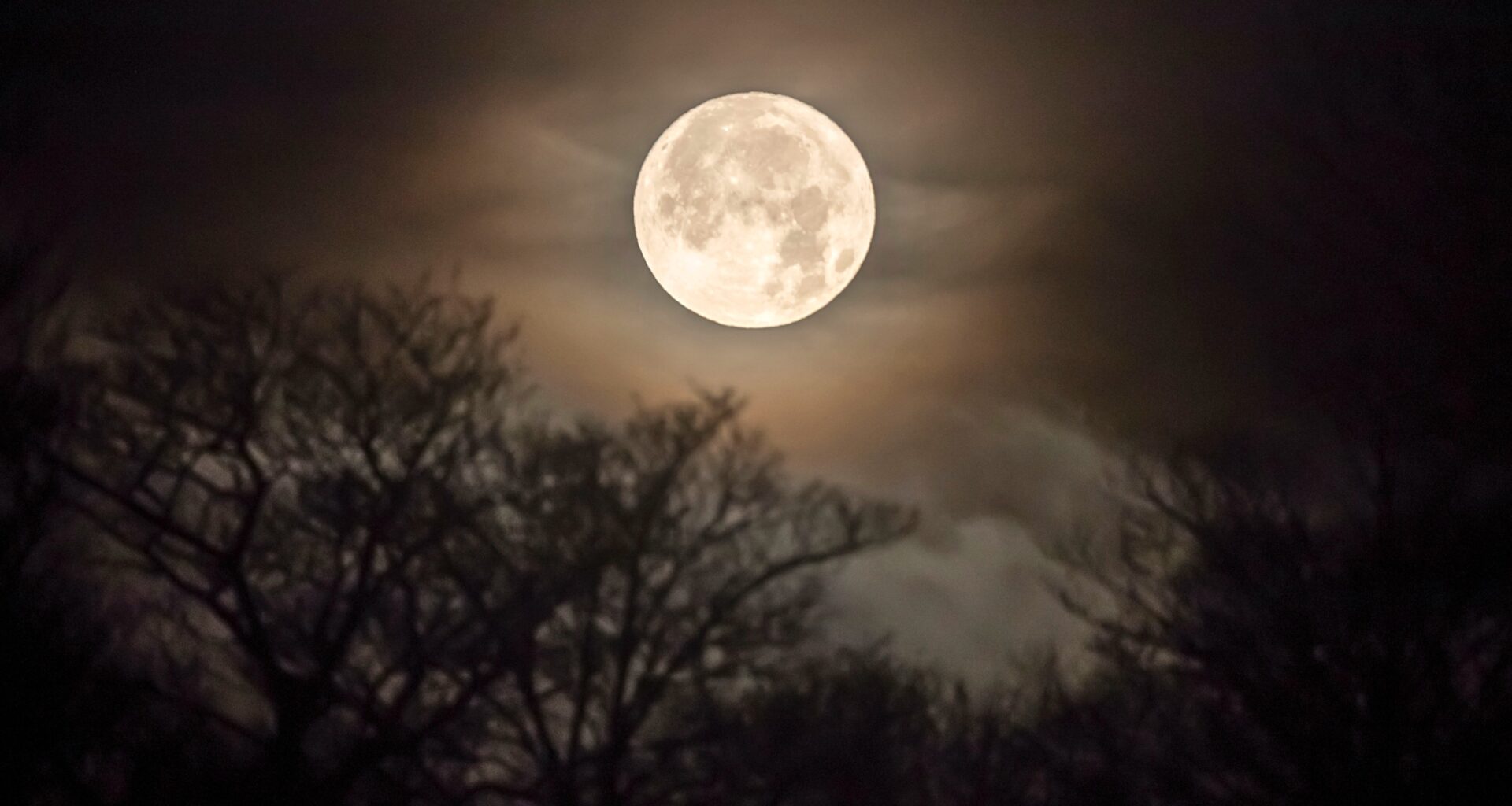 WhatsApp channel QR Code