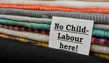 IASC report proposes new measures to strengthen human rights and forced labour framework, James Marlow