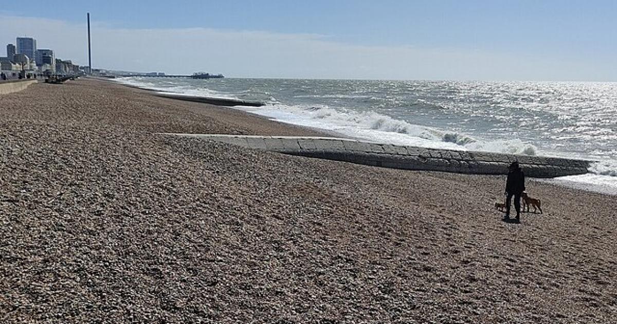 Brighton: Man shocked to find animal carcass on beach