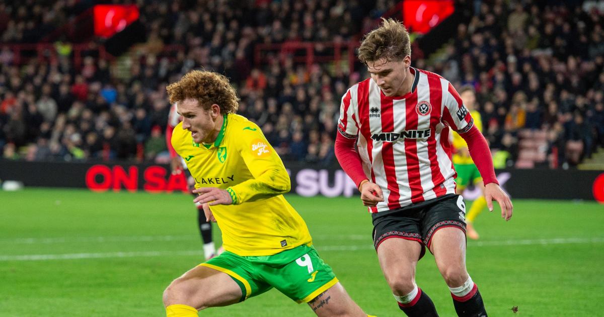 Norwich City v Watford: Philippe Clement press conference