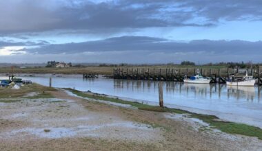 Rother District Council declares state of nature emergency