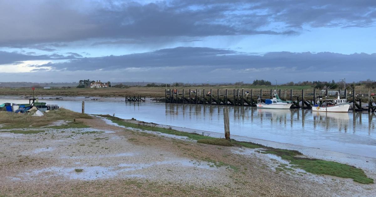 Rother District Council declares state of nature emergency